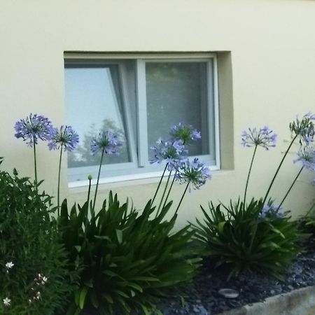 Les Hortensias Fortschwihr 외부 사진