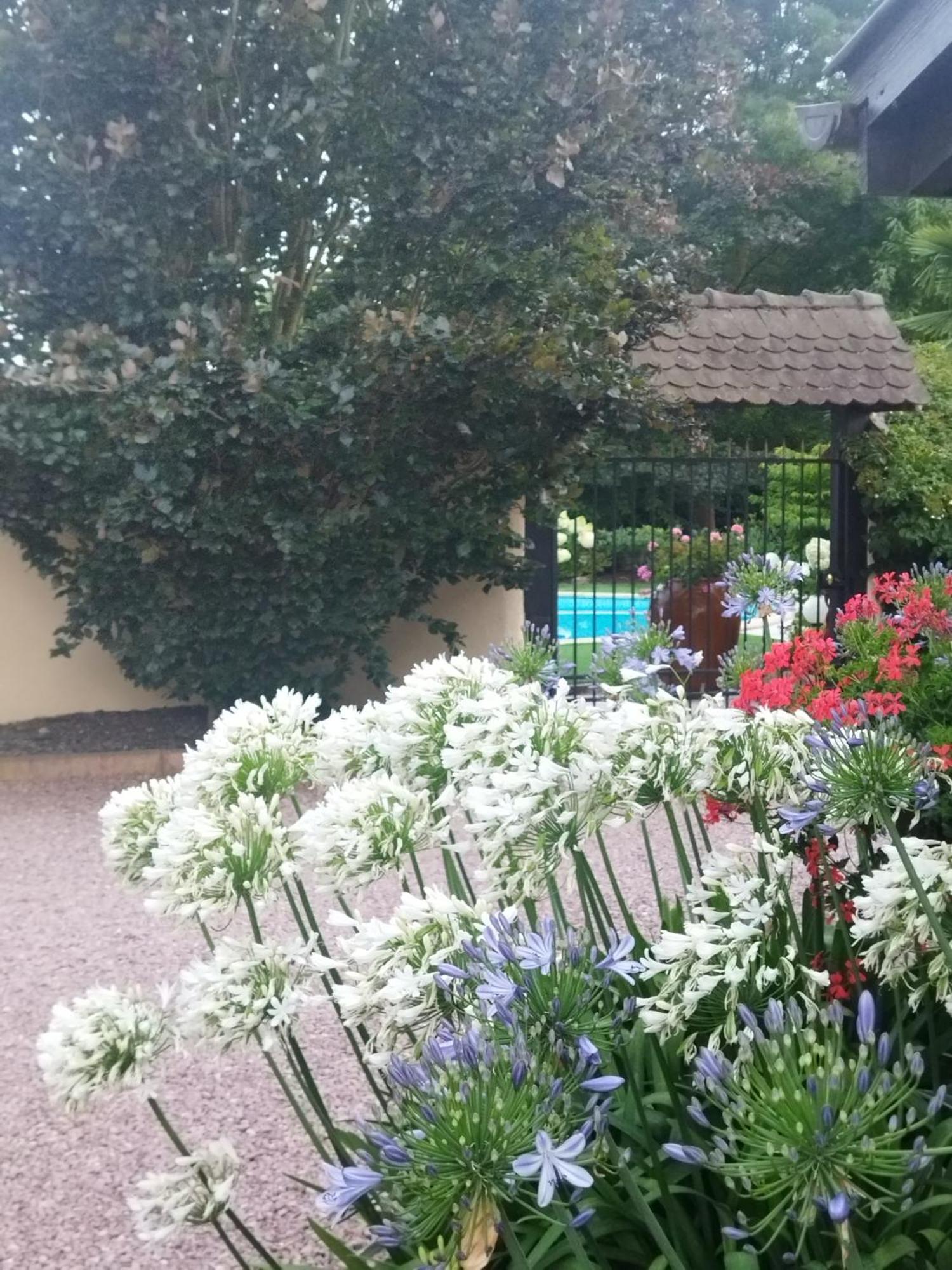 Les Hortensias Fortschwihr 외부 사진