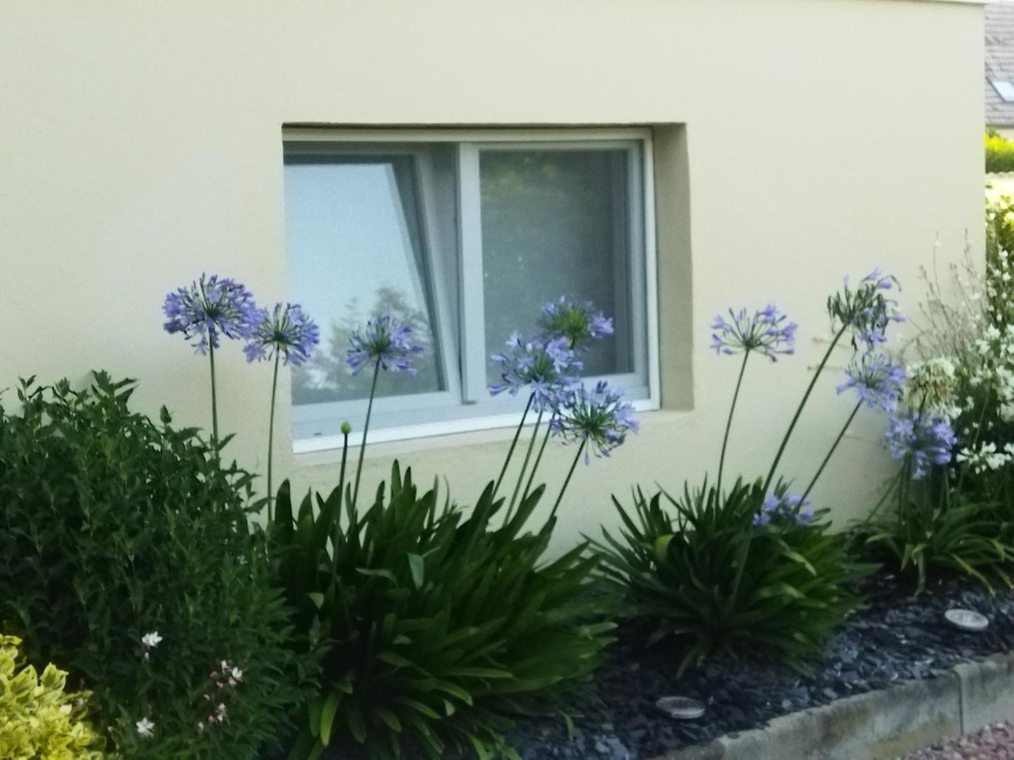 Les Hortensias Fortschwihr 외부 사진
